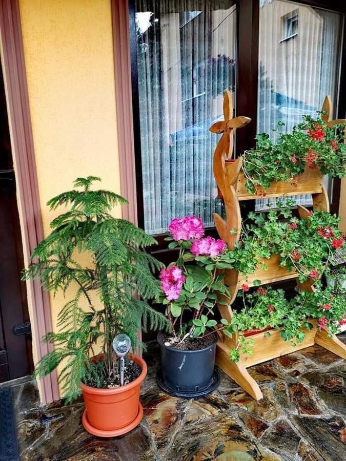 Pensiunea Gianina Arieşeni Exteriér fotografie