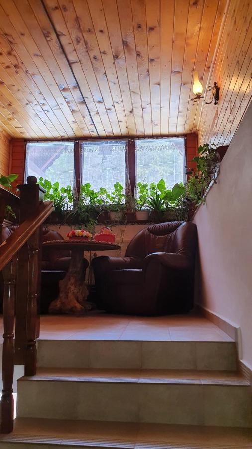 Pensiunea Gianina Arieşeni Exteriér fotografie