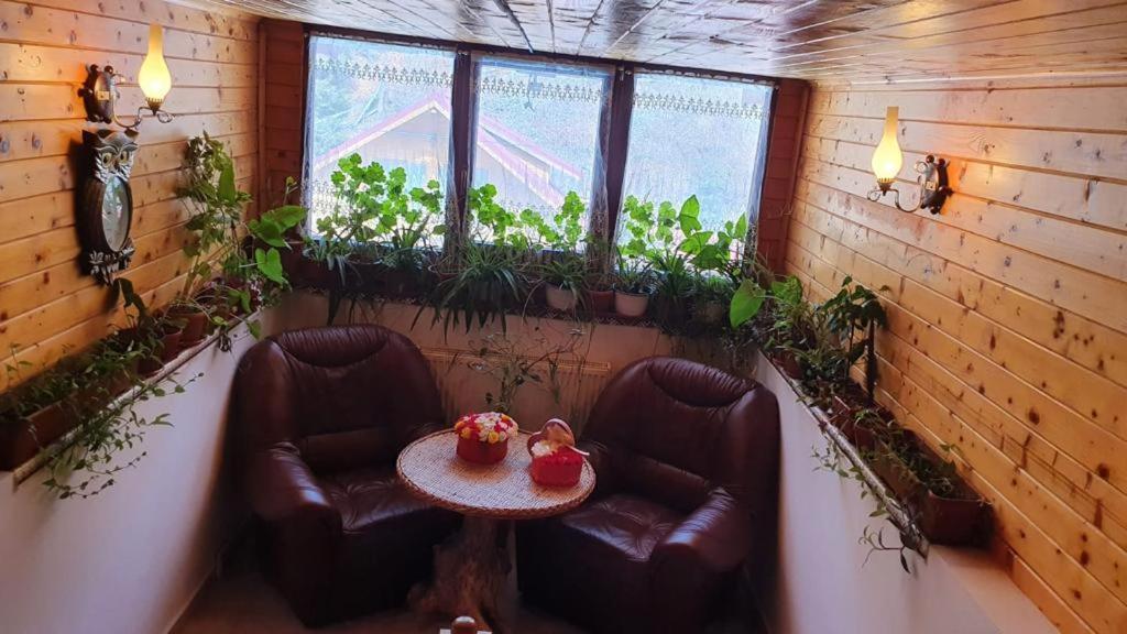 Pensiunea Gianina Arieşeni Exteriér fotografie